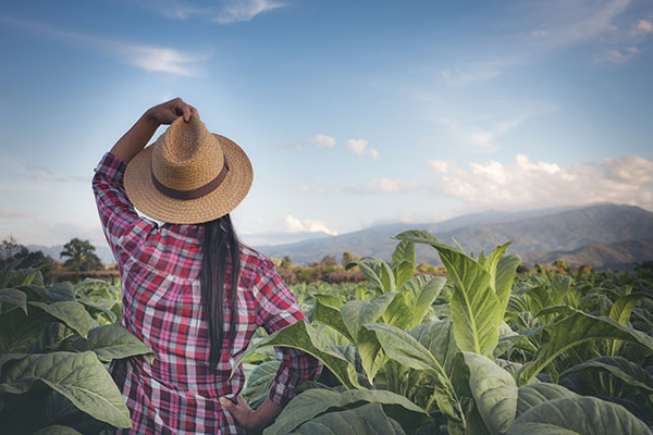 asesoria-agroturismo-t
